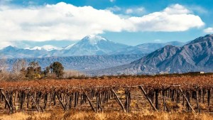 Wine regions of Argentina