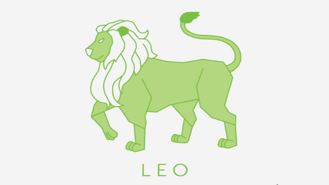 designing with the stars - leo