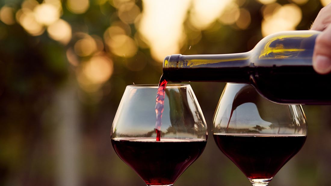 comprehensive guide to red wines