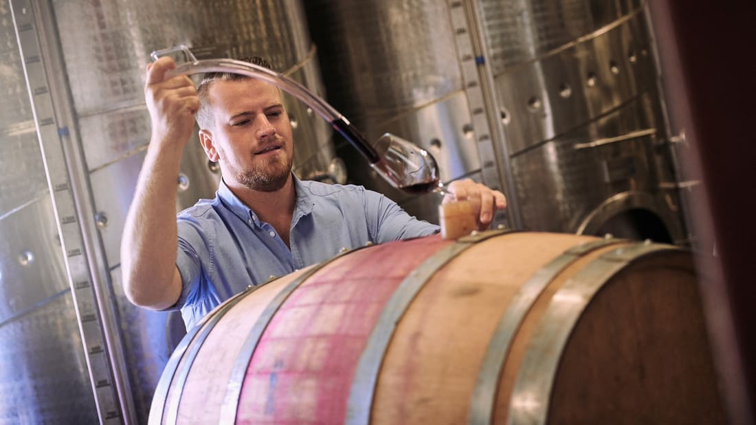 factors that affect wine maturation